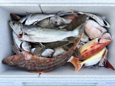 We certainly found fish! 