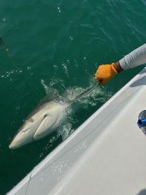 Top water charters!