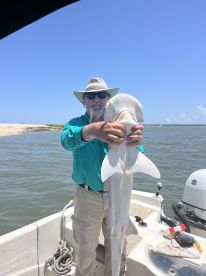 3 Hour Shark Trip