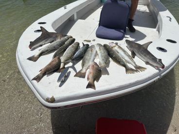 Lots of fish, lots of sun, lots of fun!