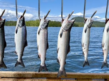 Great day on the water, catching fish