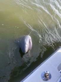 July fishing trip