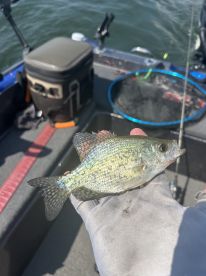 Great Fishing Trip with Ron! 