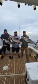 Fish were caught