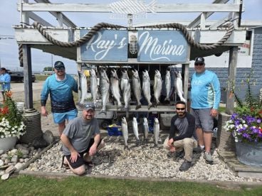 Big fish on