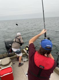 Lures away !