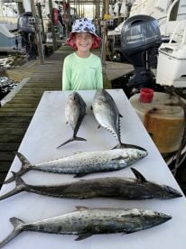 4 hr shark trip