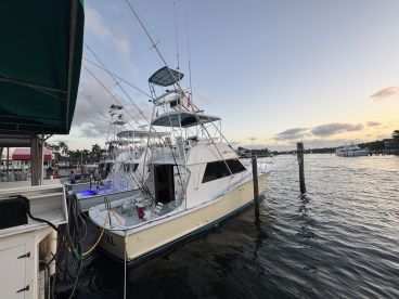 Beautiful Day and Trophy Fish