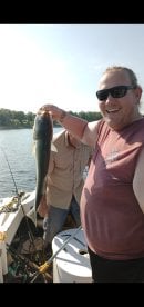 Captain dad