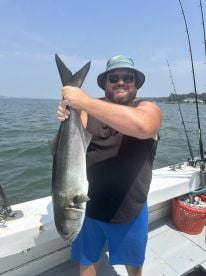 Lot of different fish