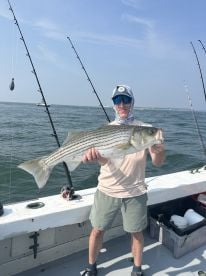 Lot of different fish