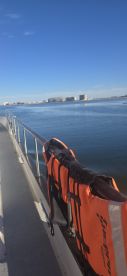 Great trip
