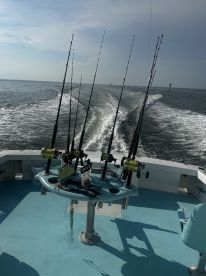 Rabid Tuna continues to deliver 