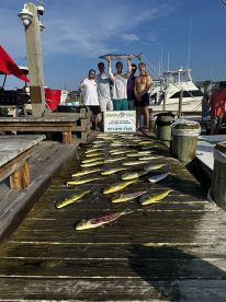 Rabid Tuna continues to deliver 