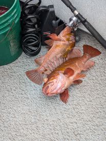 July fishing trip