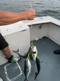 amazing fishing 