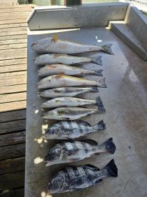 Awesome Day and Great Catch