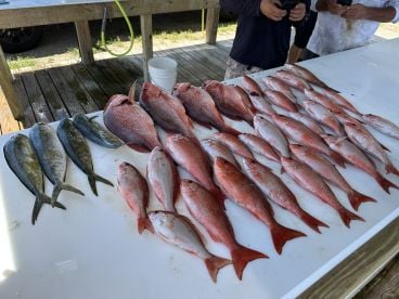 Great day of fishing.  