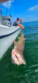 Amazing Catch