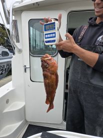 Awesome Fishing
