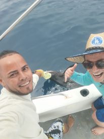 Amazing Trip