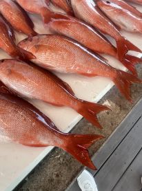 Awesome fishing trip 