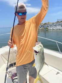 Jack Crevalle!