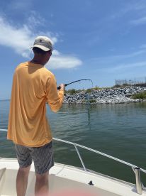 Jack Crevalle!