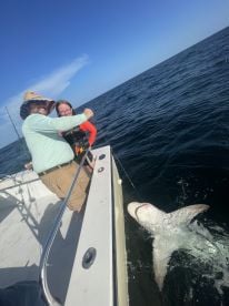 Shark trip