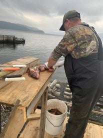 Excellent fishing experience 