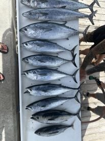 Take this Charter & Catch Some Fish!