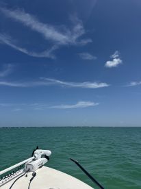 Half Day Trip with Captain Tyler