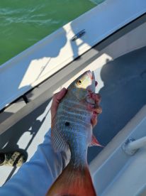 Fishing with Kodie