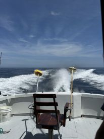 Great day on the water! 