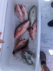 Captain Si knows where the fish are at!!!