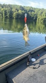 Fishing with Mark