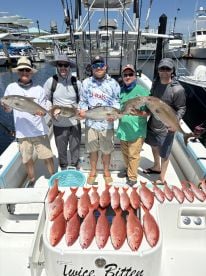 Fish \ud83c\udfa3 On