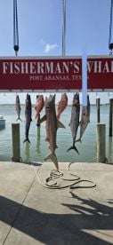 Caught a lot of fish 