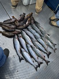 Caught Fish