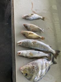 Great first time!