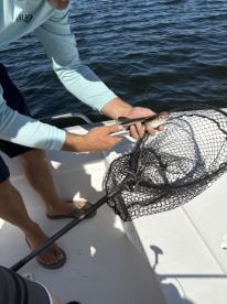 Great fishing experience 