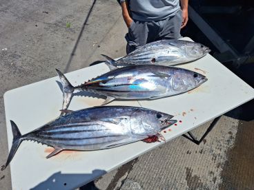 Great memories made on Kona coast