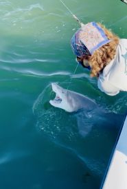 Hooked On MandaLu