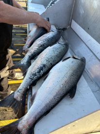 Exceptional fishing trip