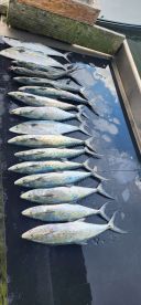 Nice trip with teenagers and plenty of fish