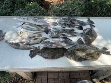 Great Day!