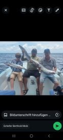Wonderful fishing 