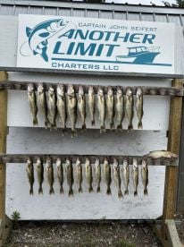 Not an experience, not for those that want to go fishing.