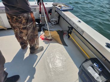 3 Hour Bay Ray