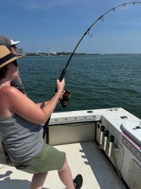 3 Hour Bay Ray
